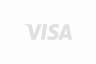 visa logo